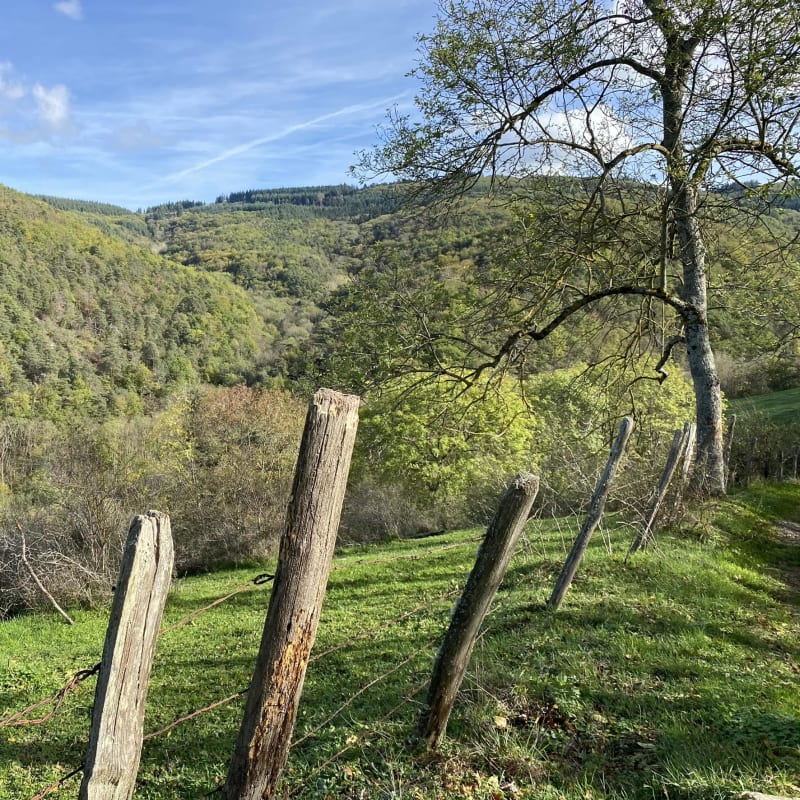 Bessenay (parc de Courzieu) - Bessenay