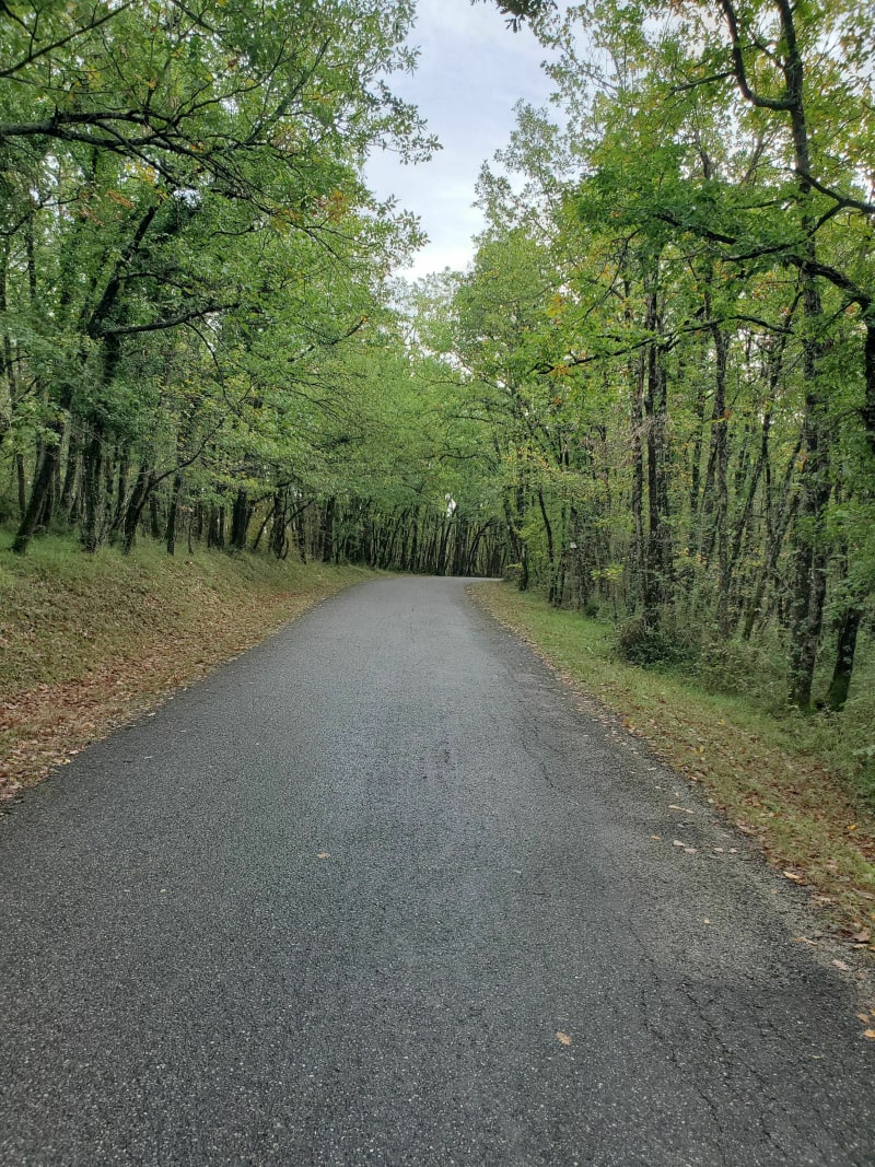 Petit coteaux de Vaïssac - Nègrepelisse
