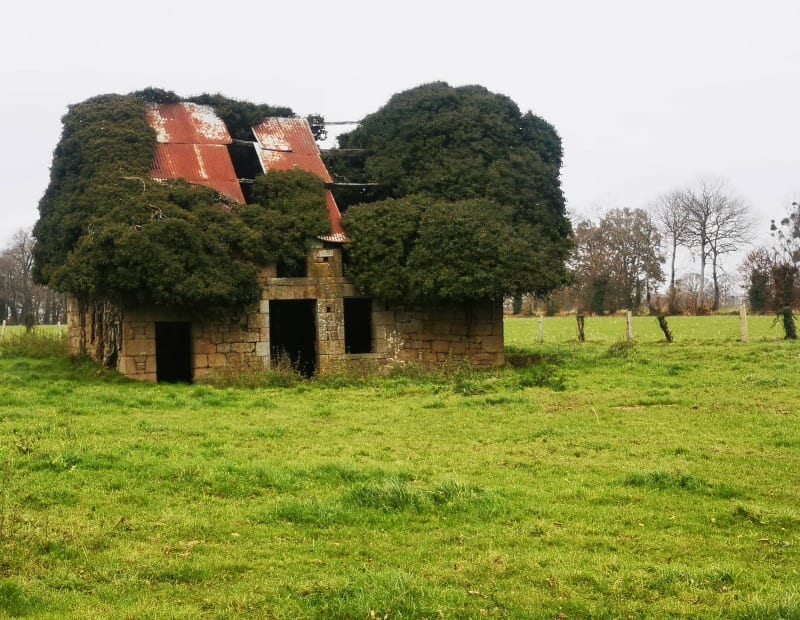 À la recherche de la grotte en passant par la Normandie - Les Portes du Coglais