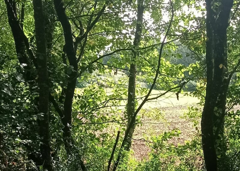 Rando autour de Breuil Chaussée - Bressuire