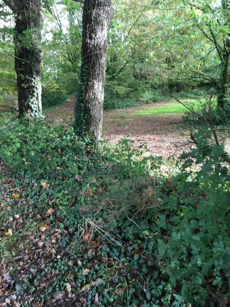 Balade sympathique  le long du canal d'Ille et Rance - Betton