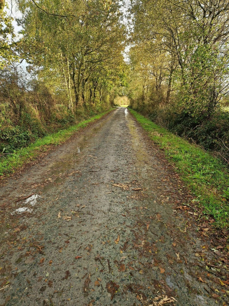 Balade et détente entre routes et chemins de campagne du pays Nantais - Héric