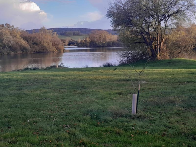 Faverney - Breurey et l'étang de Mersuay - Faverney