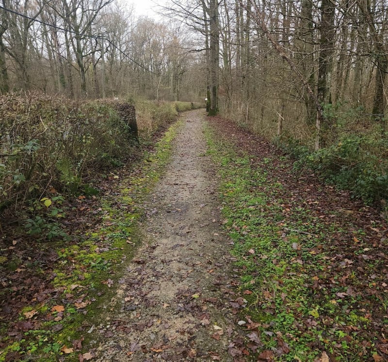 Randonnée vtt autour de l'Etang de Saint Hubert - Auffargis
