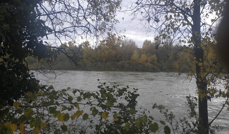 Le long du Canal de Miribel, par Beynost - Niévroz