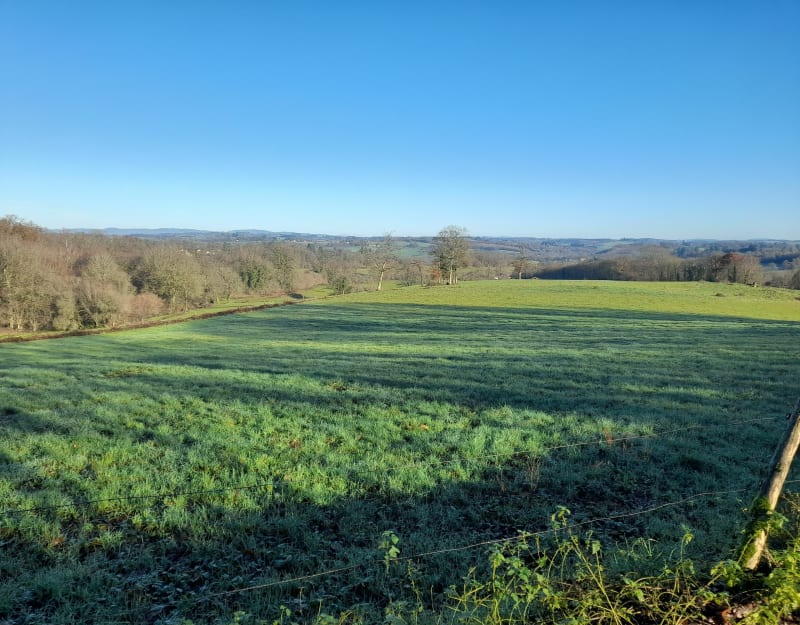 Petit tour en forêt Saint Leo - Saint-Léonard-de-Noblat