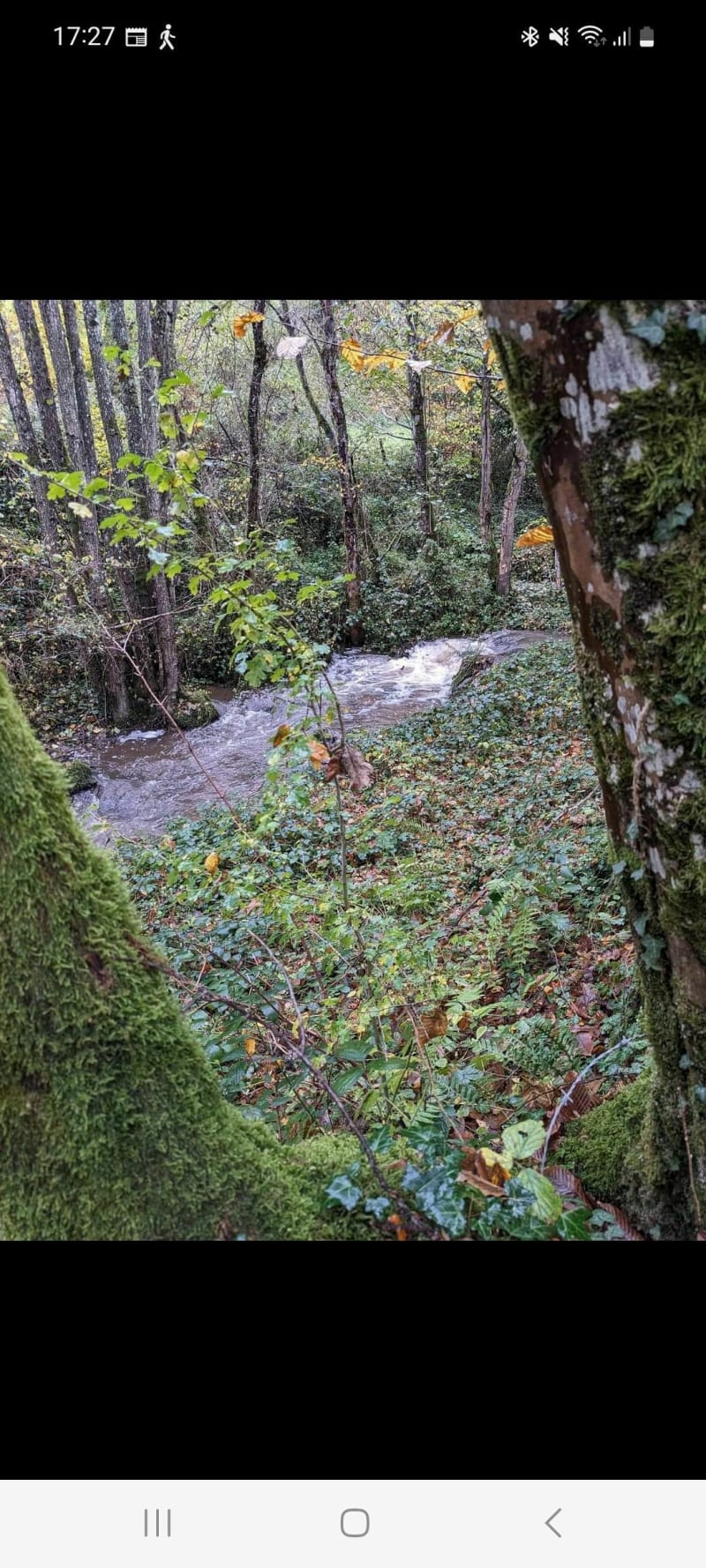 Randonnée sur les hauteurs de Marcilly-lès-Buxy - Écuisses