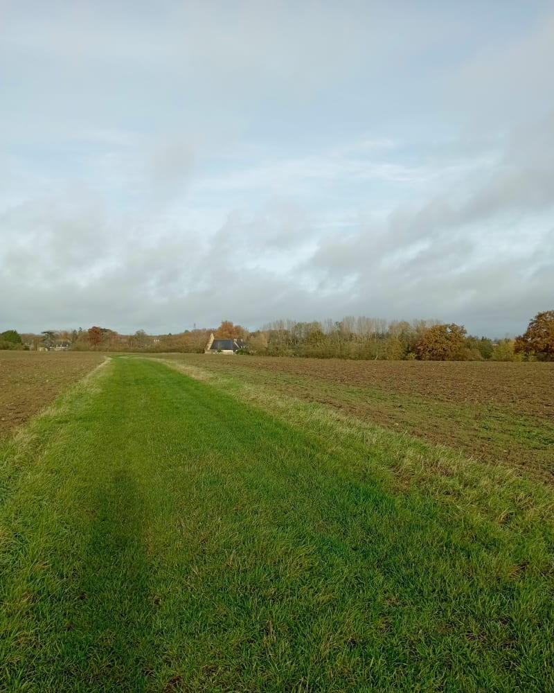 Route et chemin à Semblançay - Semblançay