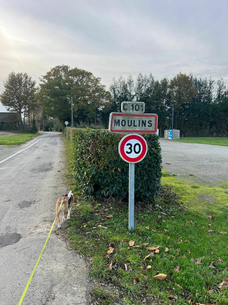 Circuit des châtaigniers - Moulins