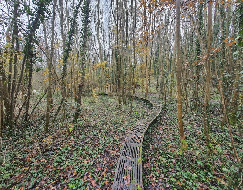 La passerelle d'Auzay - Argentonnay