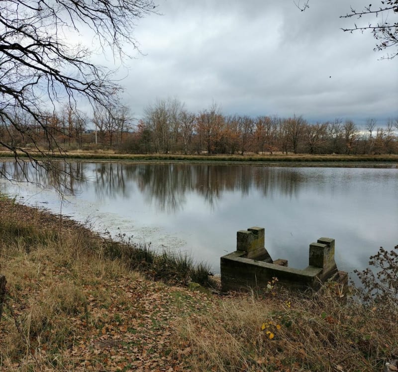 Saint Galmier - Saint-Galmier