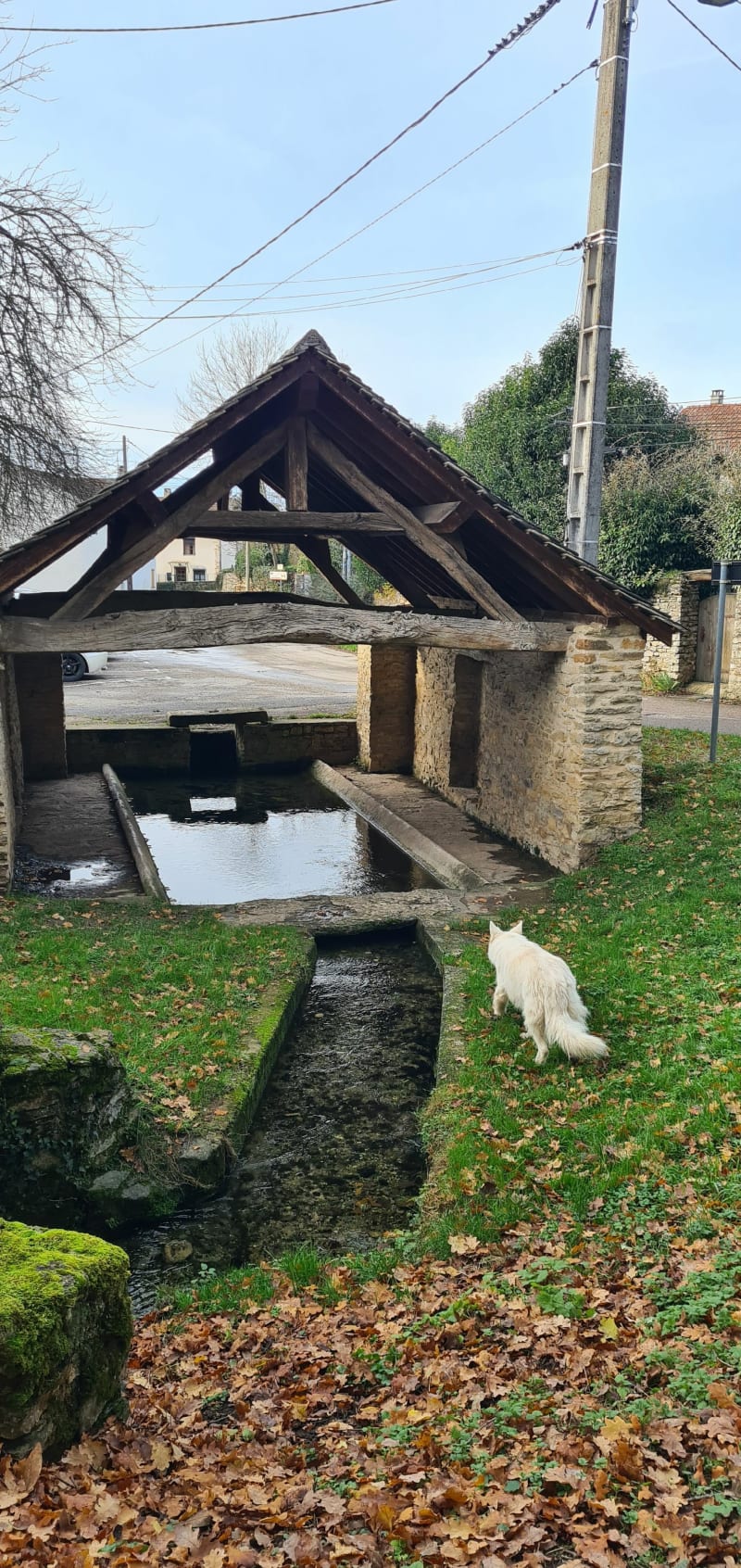 Randonnée vers le Château de Chozeau par les Fouillouses - Chozeau