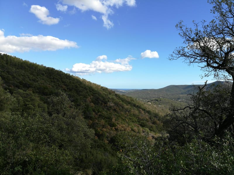 Balade entre Vidauban et Plan-de-la-Tour, depuis la cascades de l'Aille - Vidauban