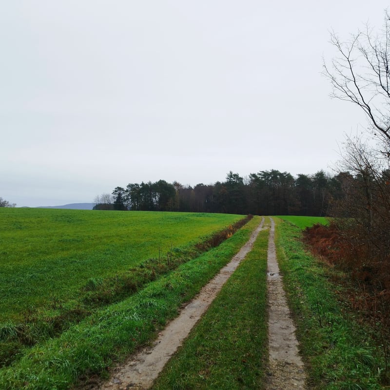 Balade autour du Bois de Béchannoz et Bois des Mavauvres - Saint-Étienne-du-Bois