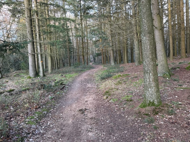Balade au Col de Malval - Saint-Pierre-la-Palud