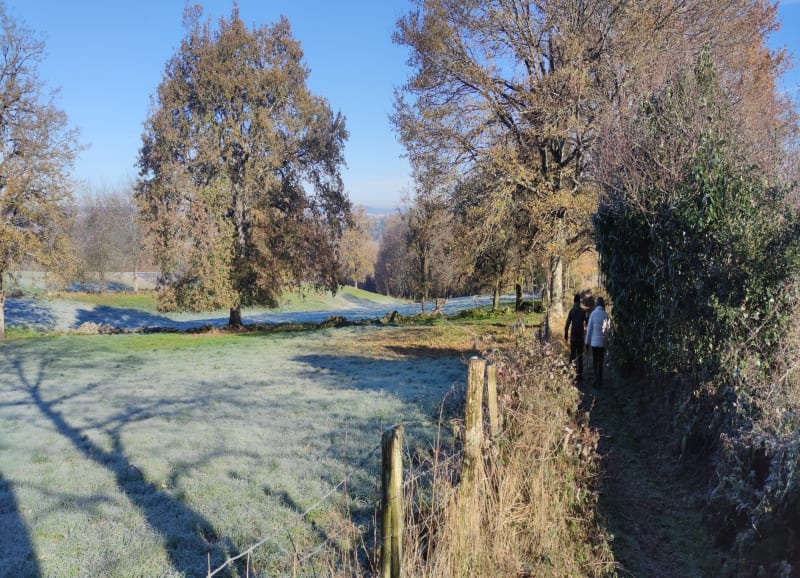 Le moulin de Chambon- Condat sur Vienne - Jourgnac