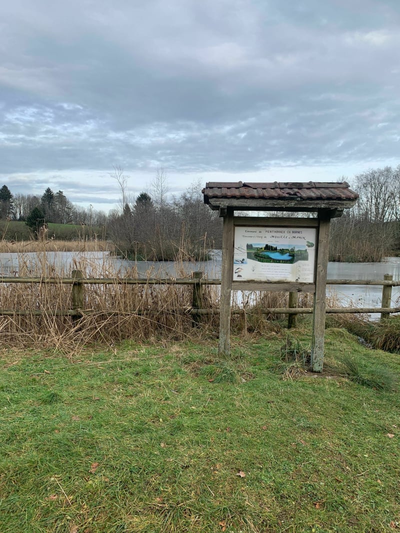 L’étang de la Mouille Martin sur le plateau des Bornes - Menthonnex-en-Bornes