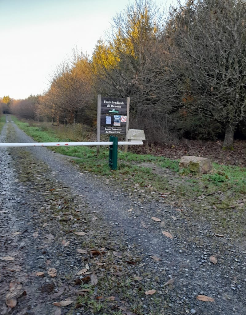 Bois de Renwez vers Witaker - Renwez