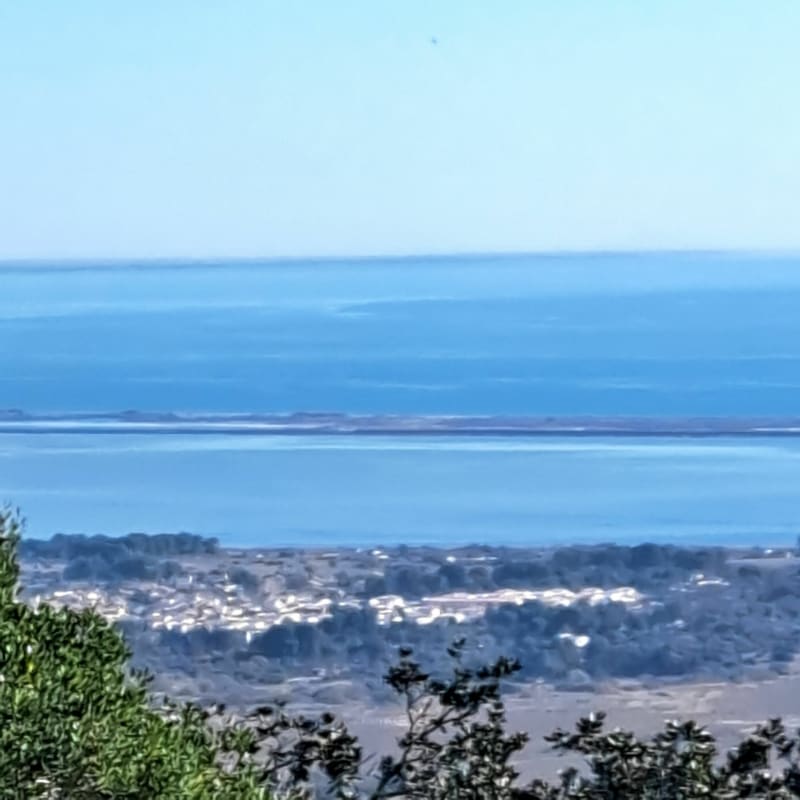 Forêt Damaniale de la Gardiole - Gigean
