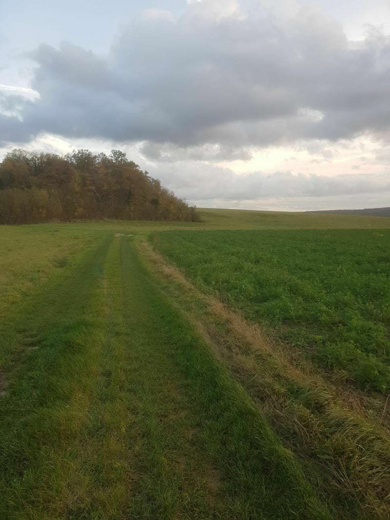 Dans les champs autour de Bruyères - Bruyères-sur-Oise