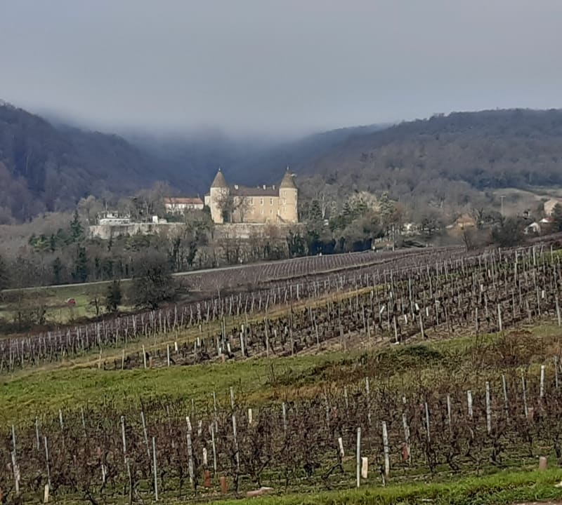 Autour des vignes de Cruzille - Cruzille