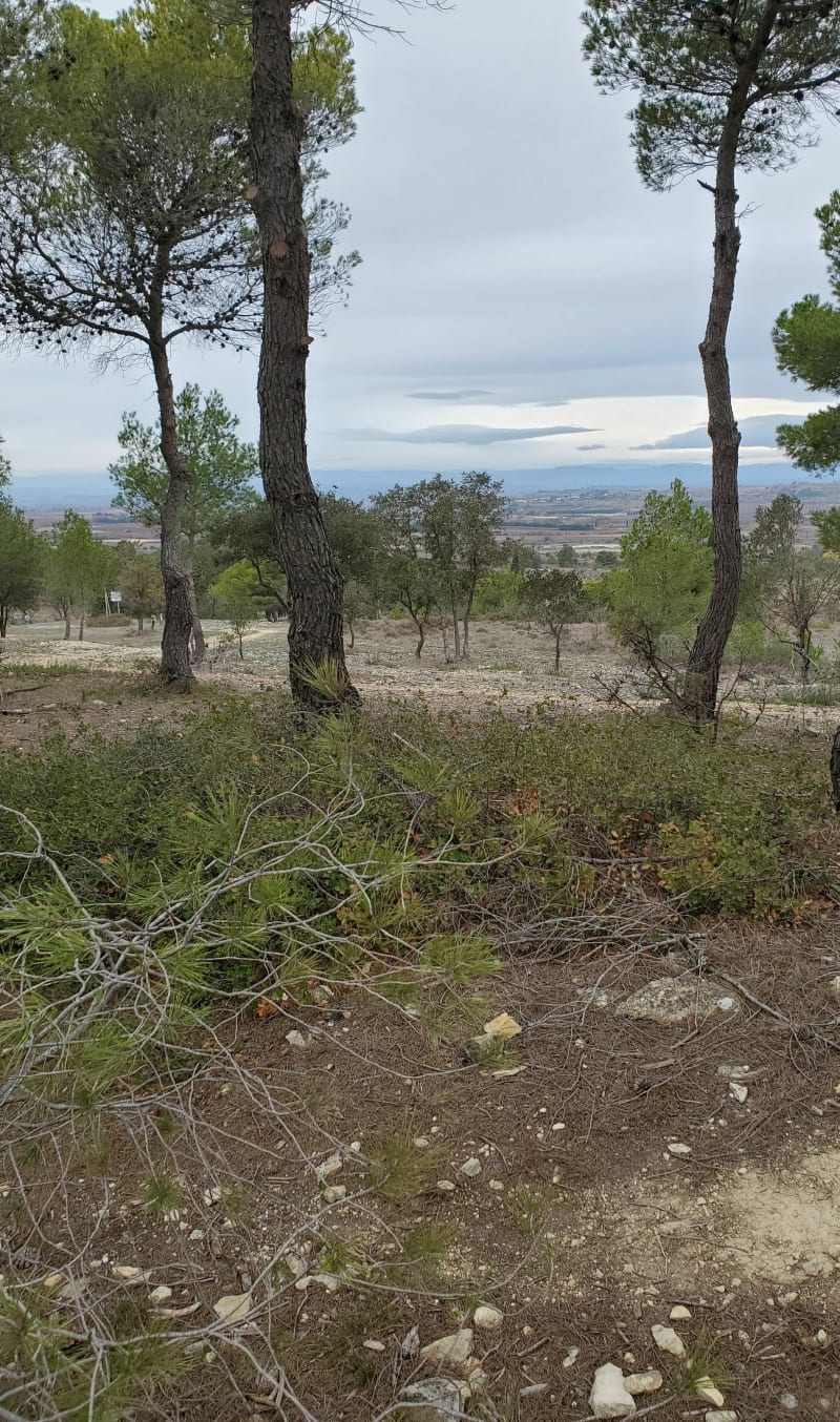 Les camins de Marmoriere - Vinassan