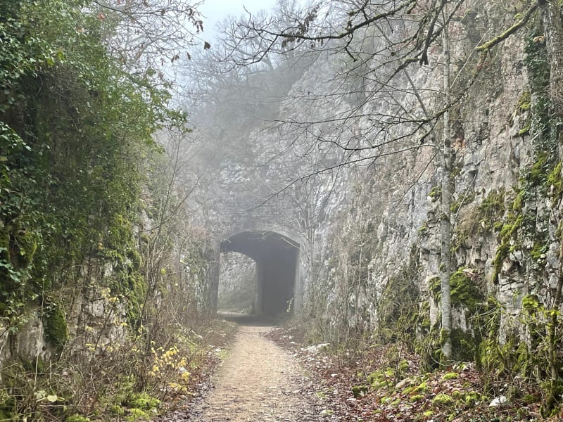 Sentier du tacot à Gevrey-Chambertin - Gevrey-Chambertin