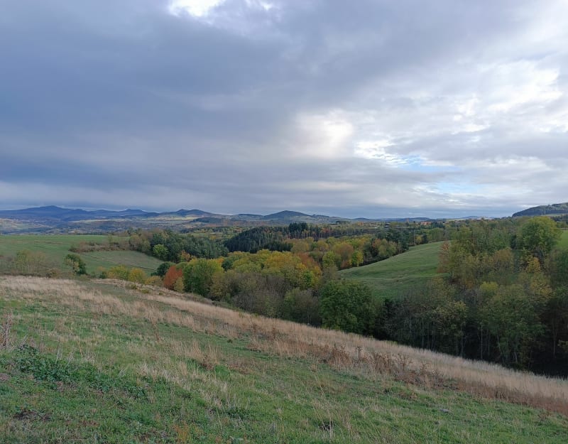 Entre Loire et lentilles - Cussac-sur-Loire