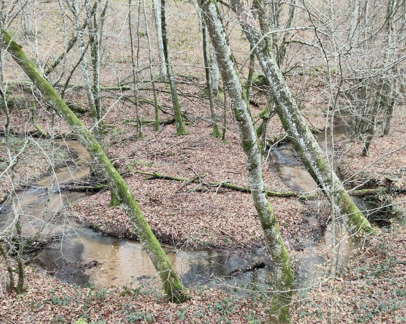 Balade départ Montmarault et campagne via forêt domaniale - Montmarault