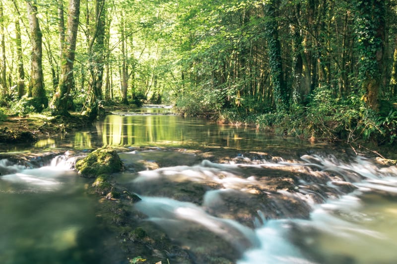 Balade à la Cascade de la Charabotte - Plateau d'Hauteville