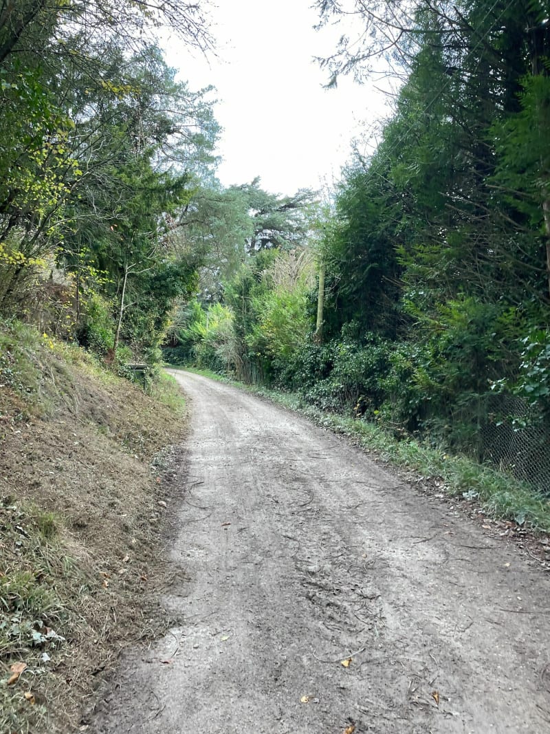 Vers le bois de Ruffin - Coulombs