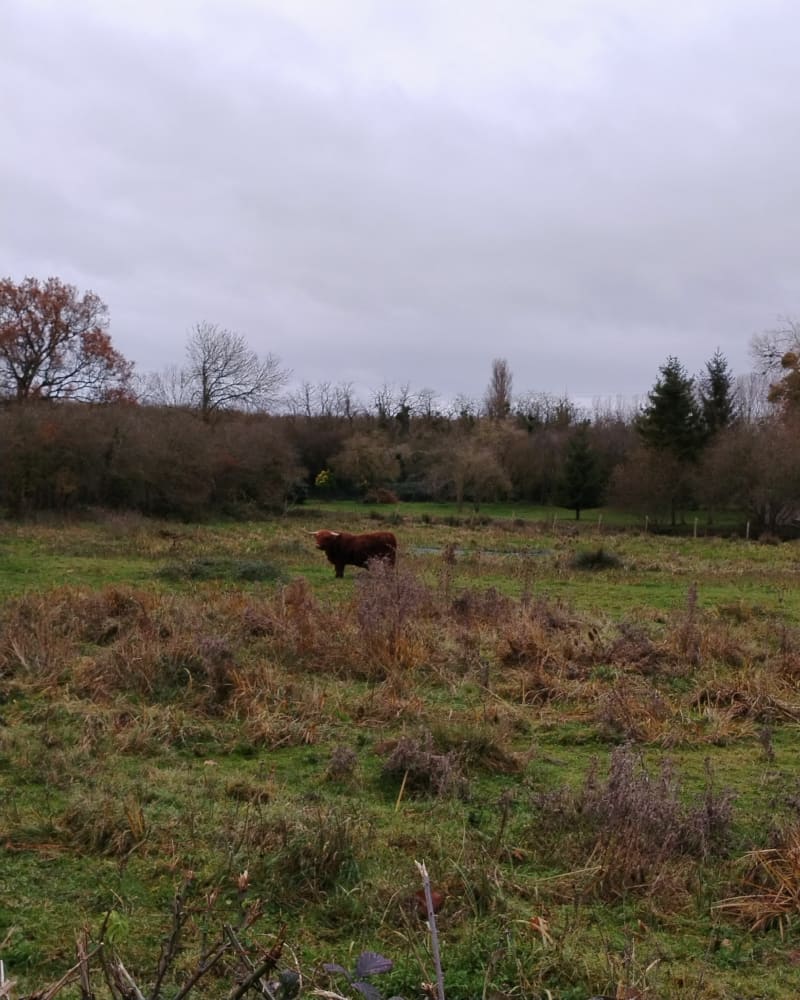 Belle rando au départ d'Averdon - Averdon