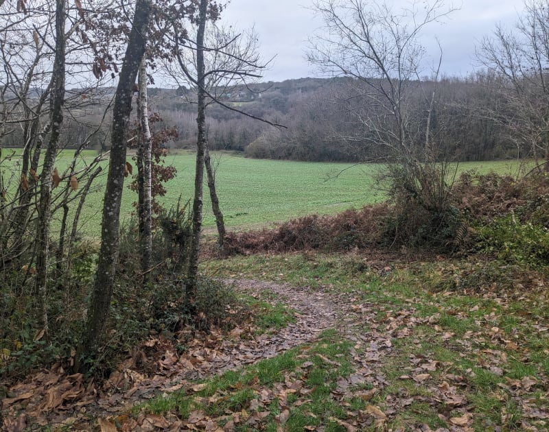 Chemins et bois entre Guichen et La Vilaine - Guichen