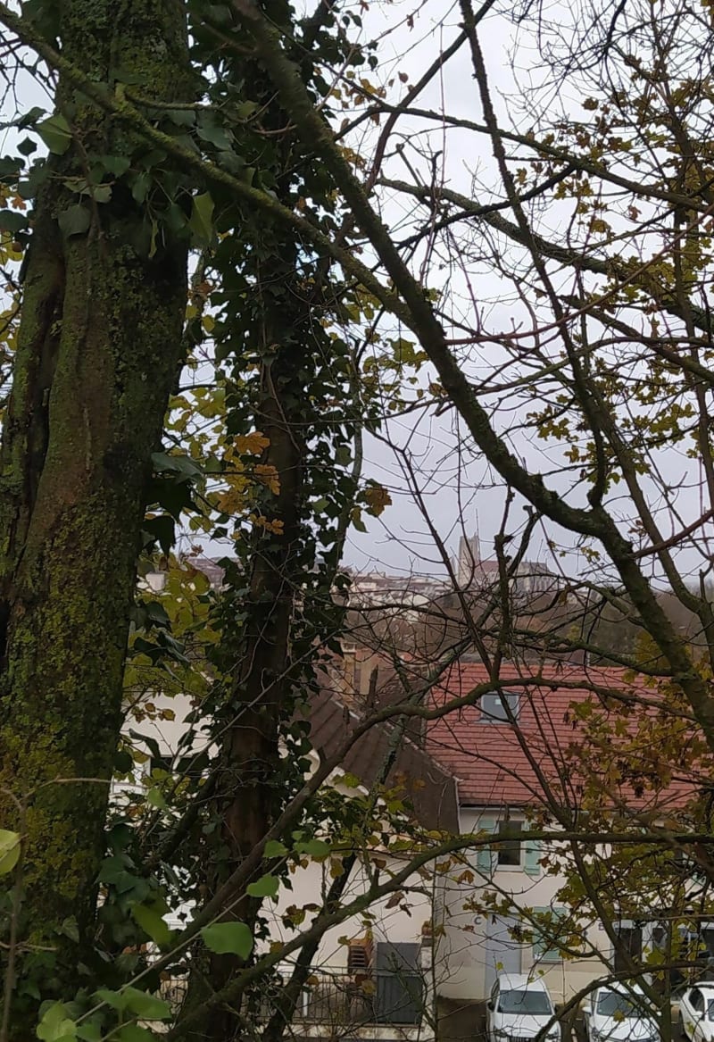 Balade entre voie verte et rues d'Auxerre - Auxerre