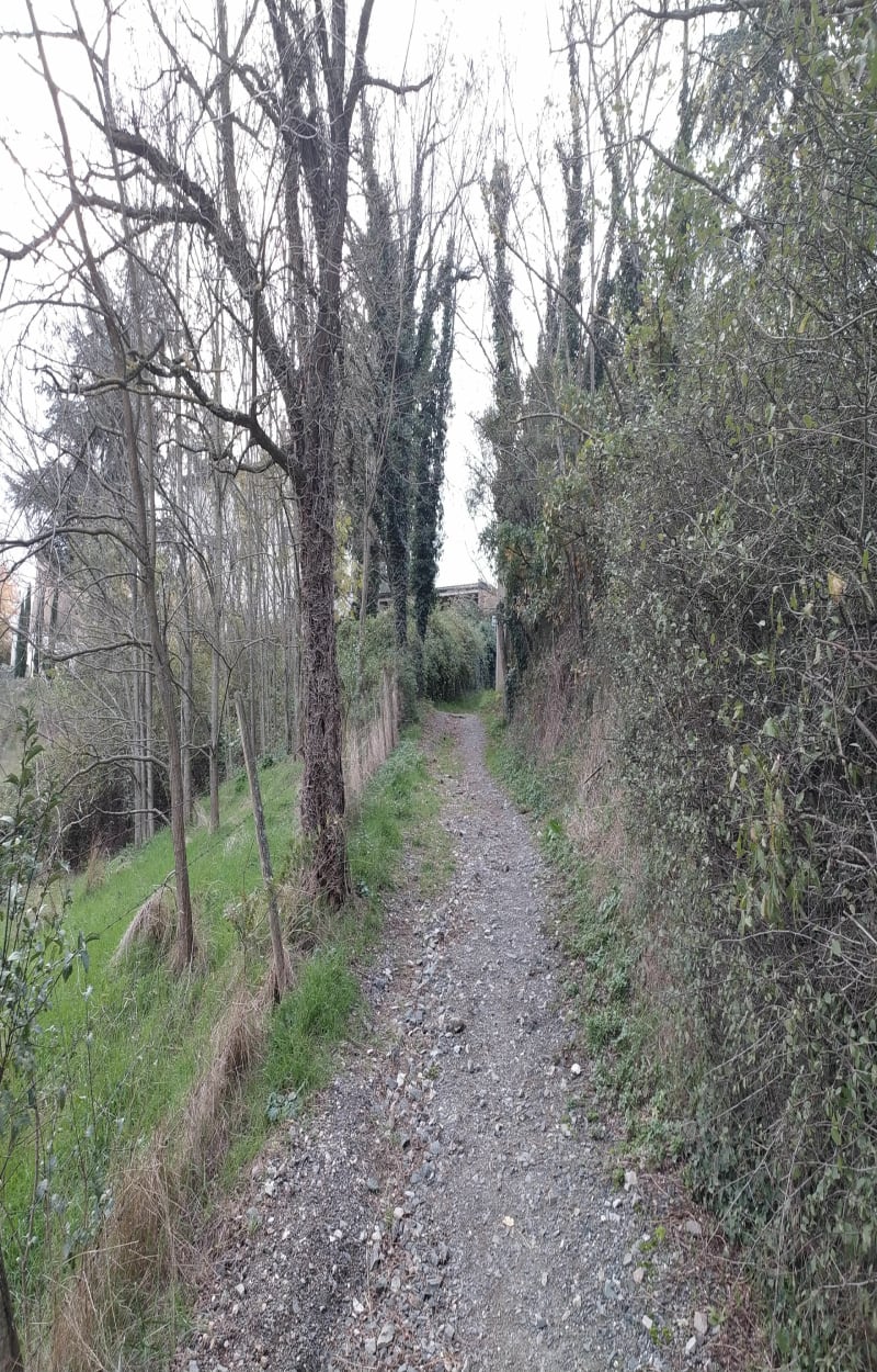 Belle reprise en boucle à Dommartin - Dommartin