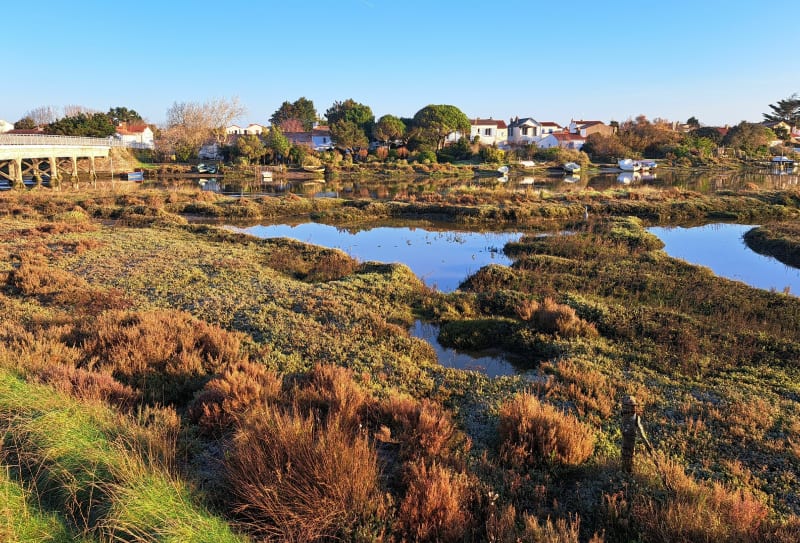 OT Brem: entre marais, forêt d'Olonne, et dunes - Brem-sur-Mer