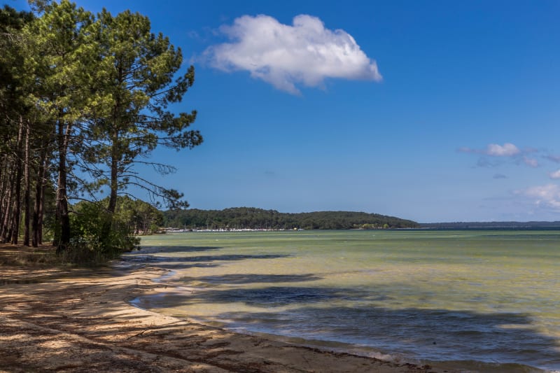 Balade à vélo au Lac de Biscarosse - Biscarrosse