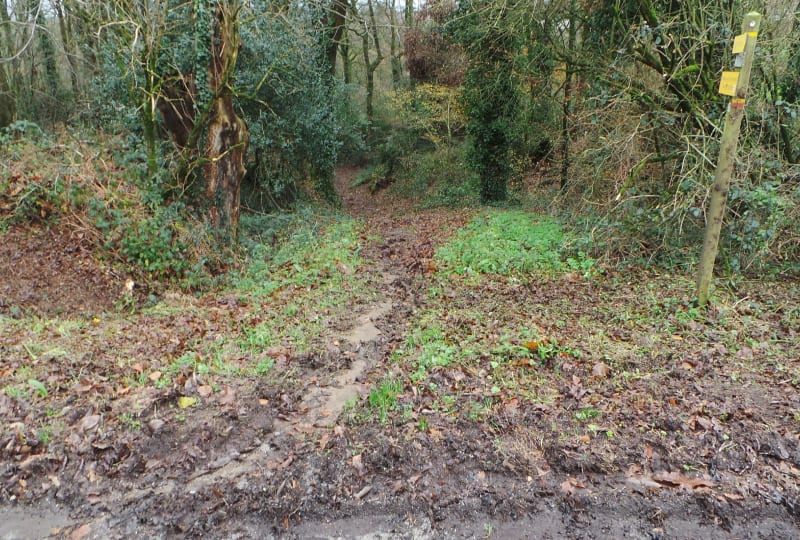 Rando autour de Questembert - Questembert