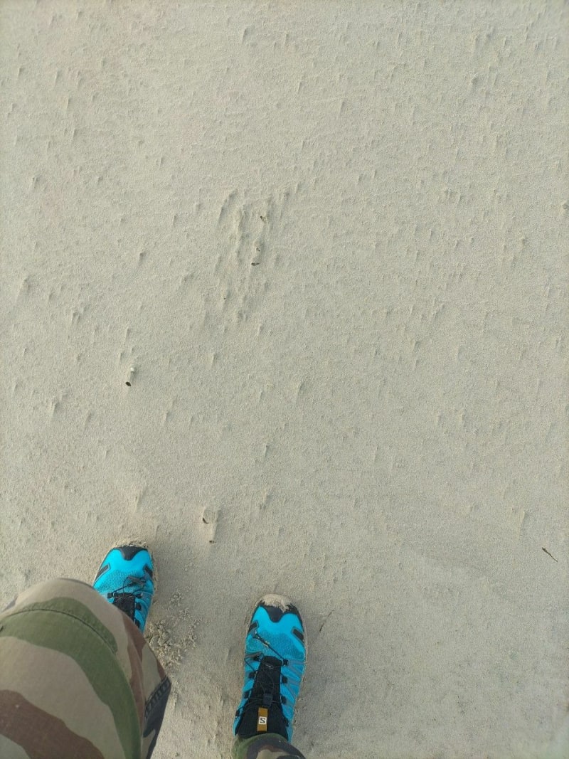 Gravelines Bords de mer - Gravelines