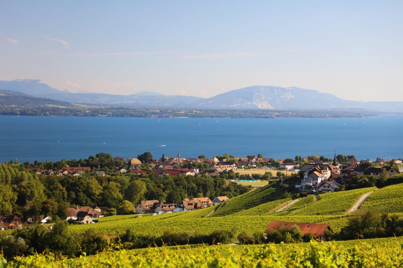 Circuit au-dessus du Lac Léman autour de Douvaine - Douvaine
