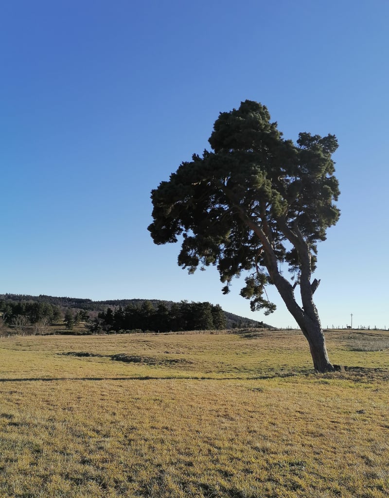 Tour du Can de la Roche - Chastel-Nouvel
