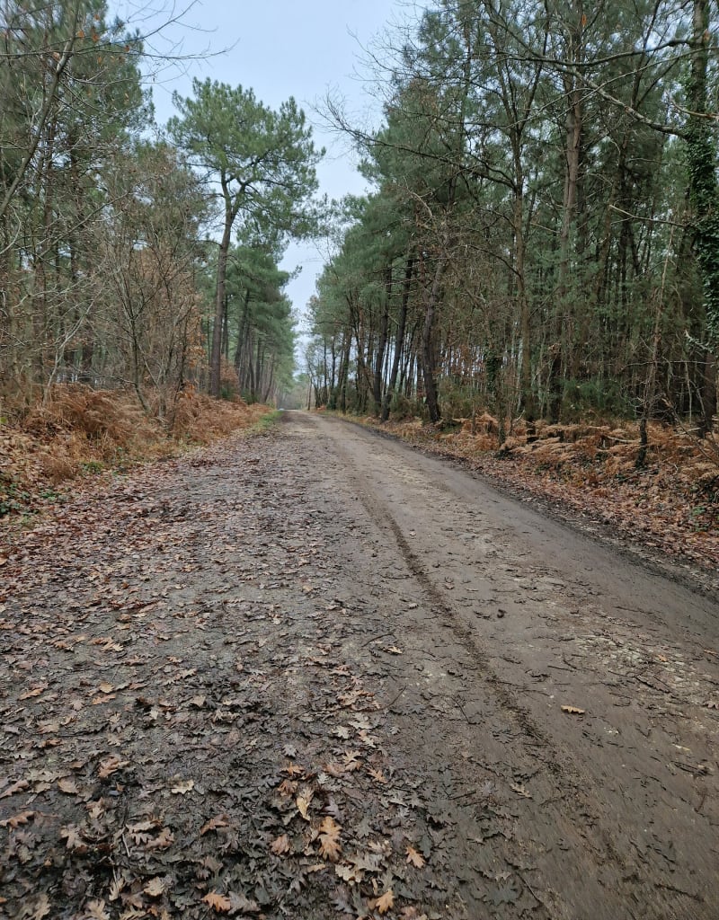 Balade à Mézeray-en-Sarthe - Mézeray