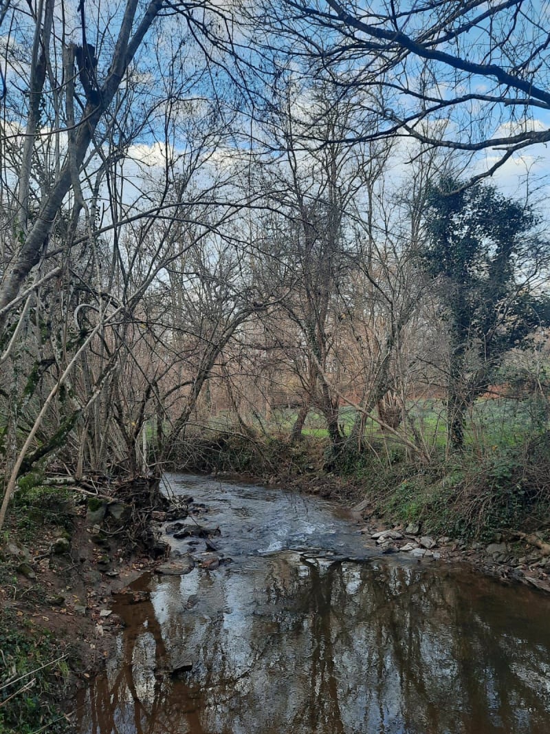 Boucle depuis la Remaudière - La Remaudière