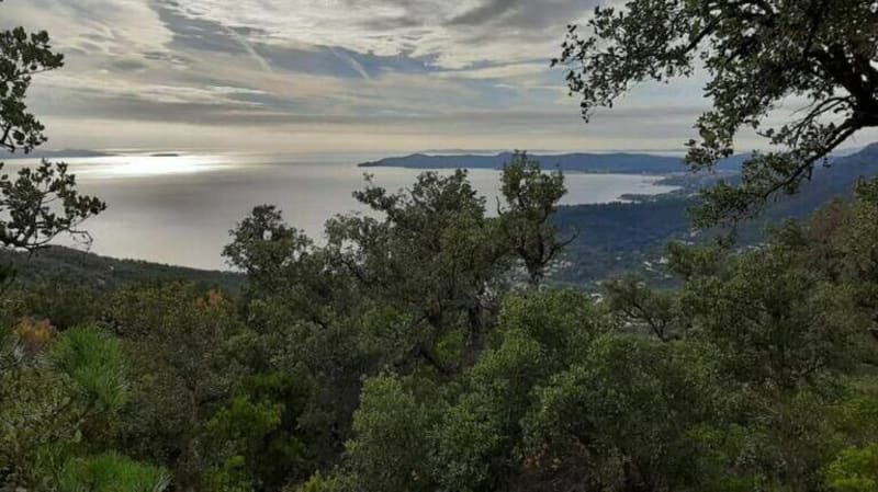Les Balcons de Cavalière par le col de Barral - Le Lavandou