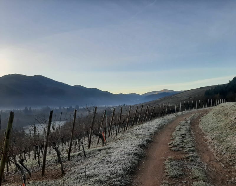 Boucle au début de la vallée de Munster depuis Wihr-au-Val - Wihr-au-Val