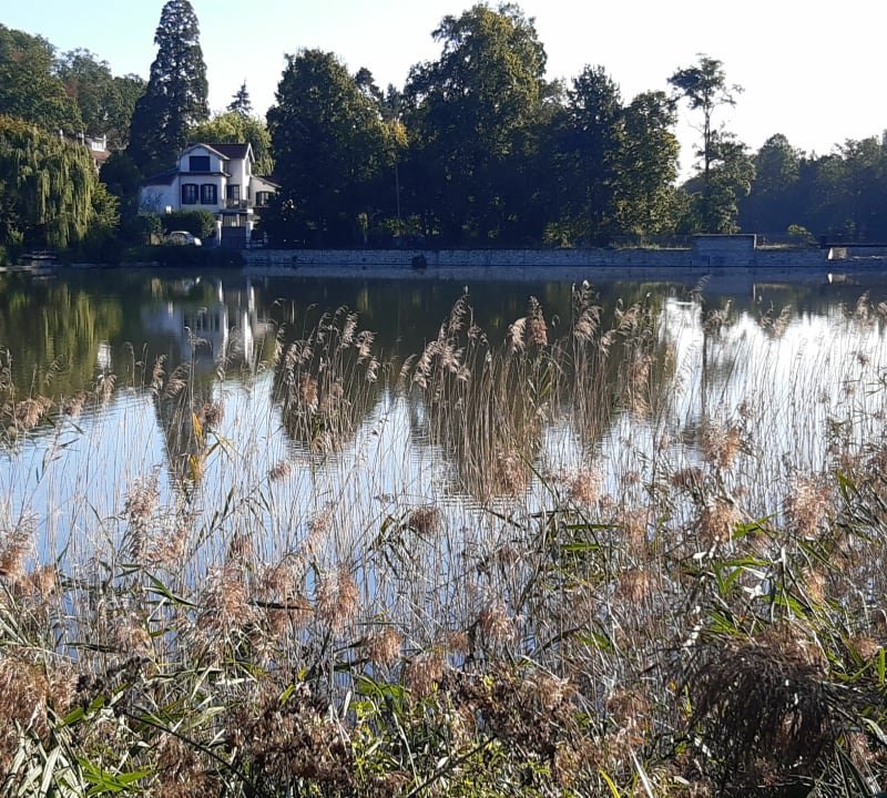 Bords de Seine au départ de Rueil-Malmaison - Rueil-Malmaison