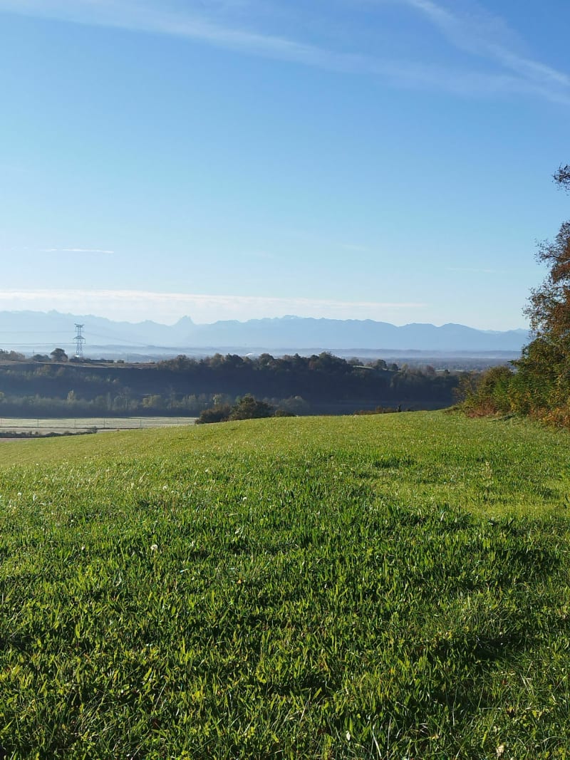Petit tout en pays de Luy de Béarn - Mazerolles