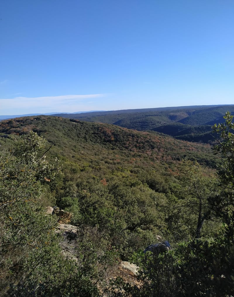 Rando entre La Capelle et Masmolène - La Capelle-et-Masmolène