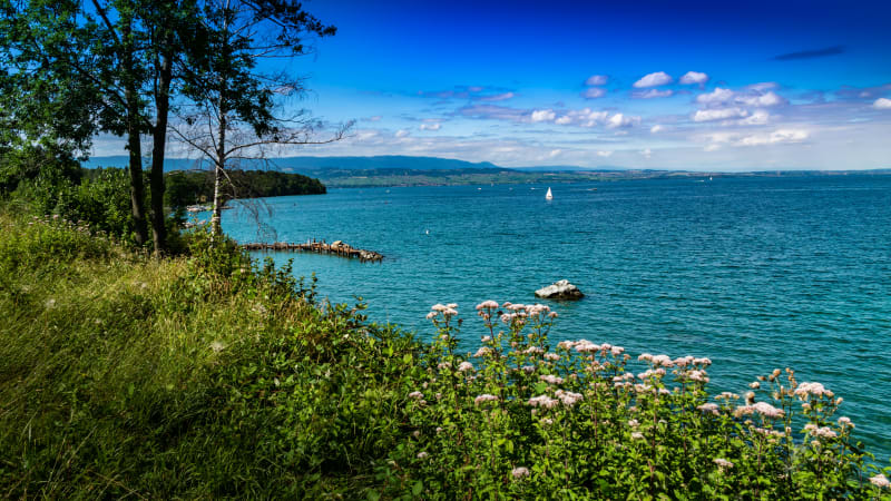 Rives du Lac Léman depuis Excenevex - Excenevex