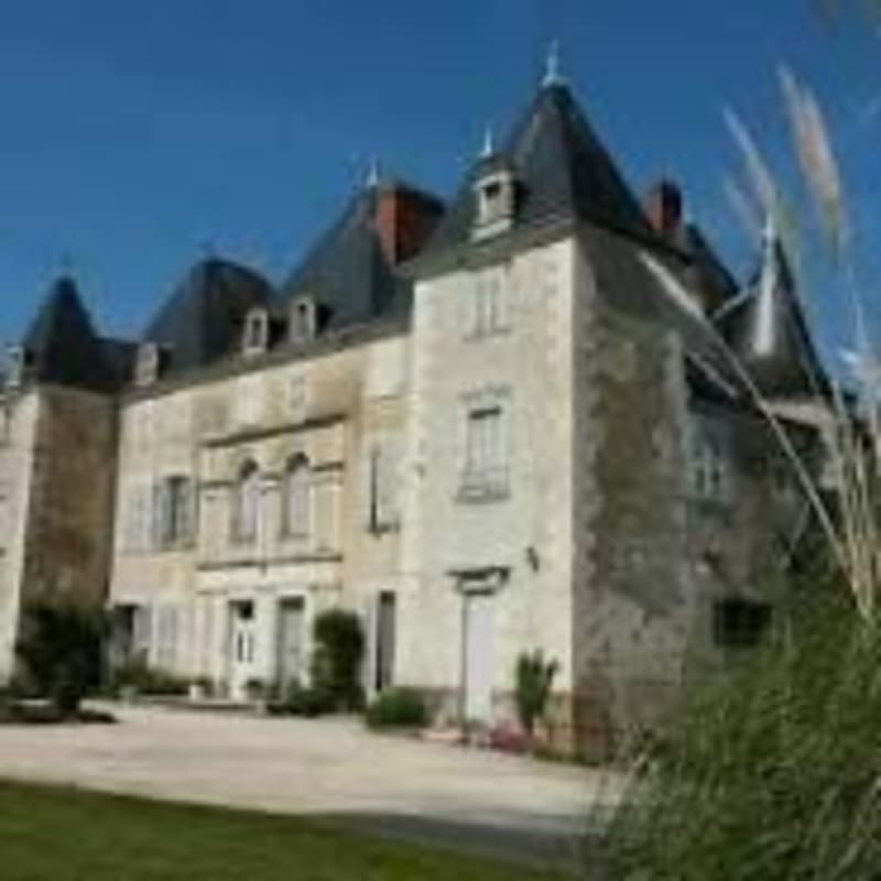Découverte des 3 châteaux de notre Poitou - Dangé-Saint-Romain